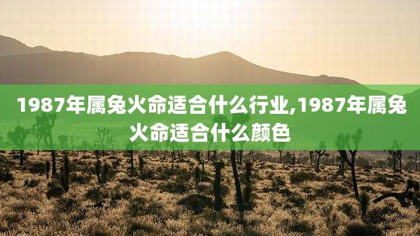 1987年属兔火命适合什么行业,1987年属兔火命适合什么颜色