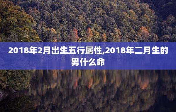 2018年2月出生五行属性,2018年二月生的男什么命