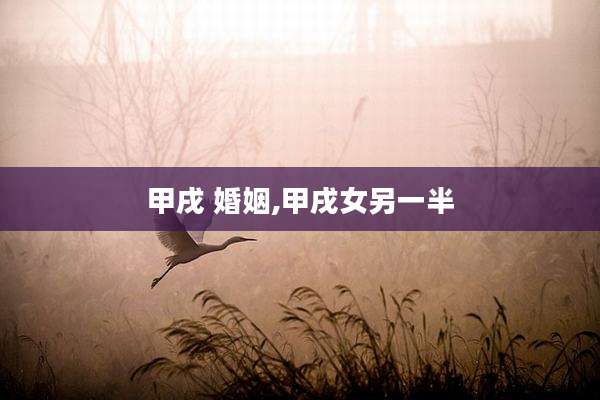 甲戌 婚姻,甲戌女另一半