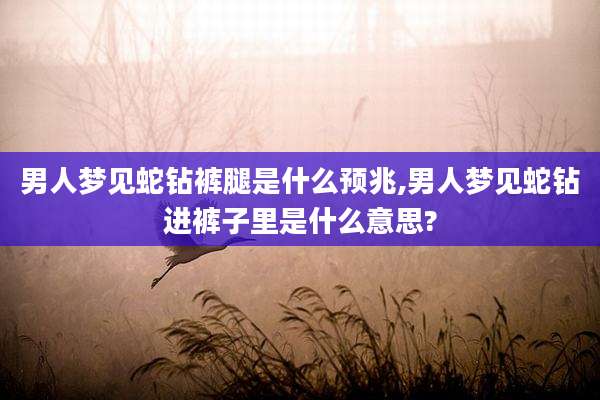 男人梦见蛇钻裤腿是什么预兆,男人梦见蛇钻进裤子里是什么意思?