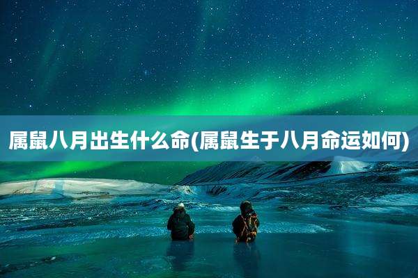 属鼠八月出生什么命(属鼠生于八月命运如何)