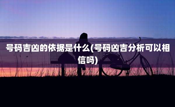 号码吉凶的依据是什么(号码凶吉分析可以相信吗)