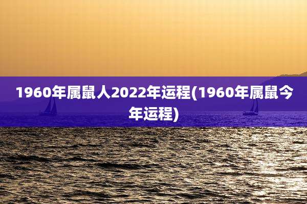 1960年属鼠人2022年运程(1960年属鼠今年运程)