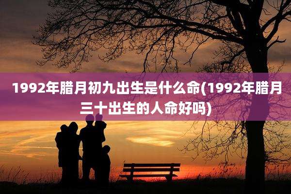 1992年腊月初九出生是什么命(1992年腊月三十出生的人命好吗)
