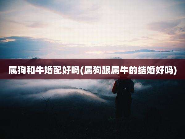 属狗和牛婚配好吗(属狗跟属牛的结婚好吗)