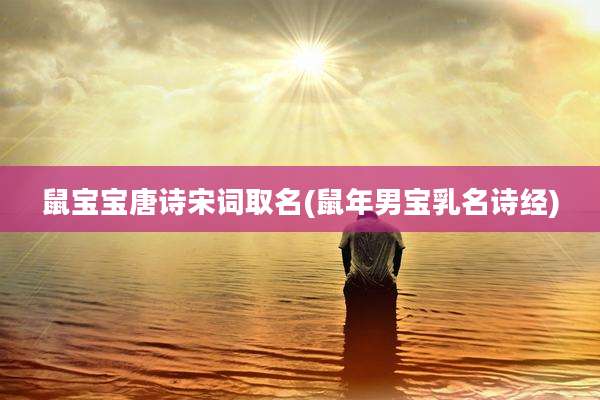 鼠宝宝唐诗宋词取名(鼠年男宝乳名诗经)
