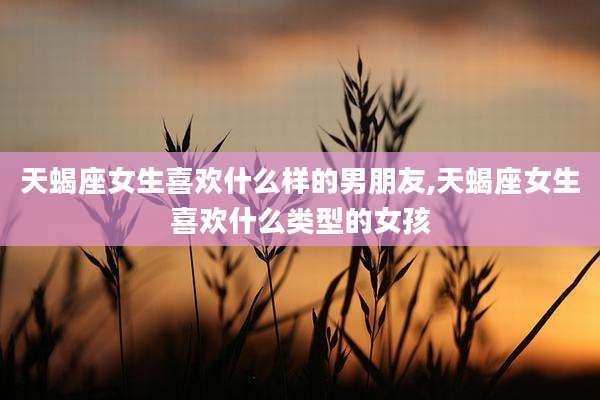 天蝎座女生喜欢什么样的男朋友,天蝎座女生喜欢什么类型的女孩