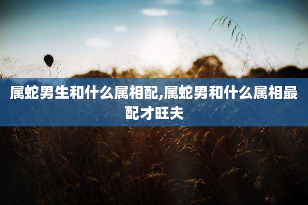 属蛇男生和什么属相配,属蛇男和什么属相最配才旺夫