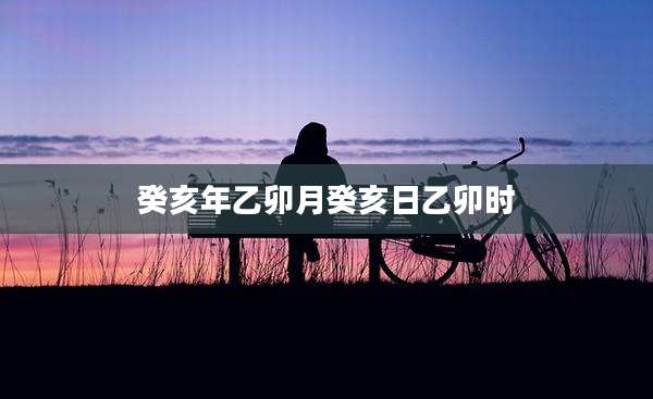 癸亥年乙卯月癸亥日乙卯时