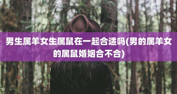 男生属羊女生属鼠在一起合适吗(男的属羊女的属鼠婚姻合不合)