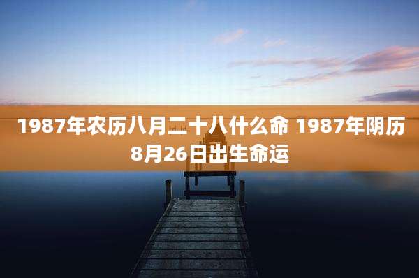 1987年农历八月二十八什么命 1987年阴历8月26日出生命运