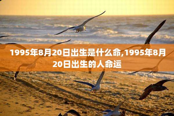 1995年8月20日出生是什么命,1995年8月20日出生的人命运