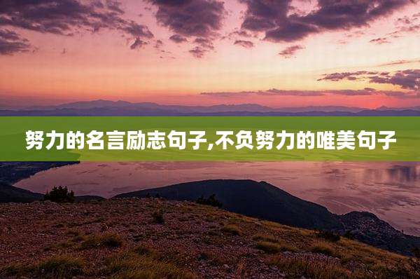 努力的名言励志句子,不负努力的唯美句子