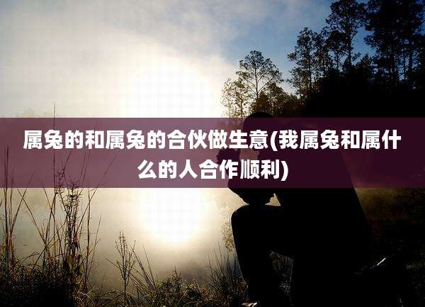 属兔的和属兔的合伙做生意(我属兔和属什么的人合作顺利)