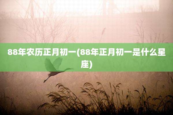 88年农历正月初一(88年正月初一是什么星座)