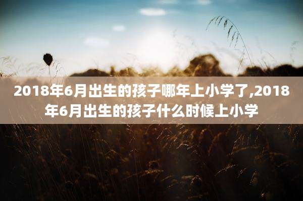 2018年6月出生的孩子哪年上小学了,2018年6月出生的孩子什么时候上小学