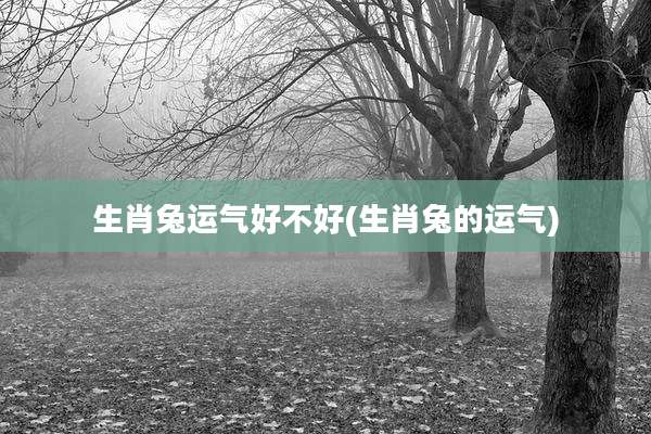 生肖兔运气好不好(生肖兔的运气)