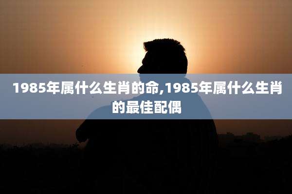 1985年属什么生肖的命,1985年属什么生肖的最佳配偶