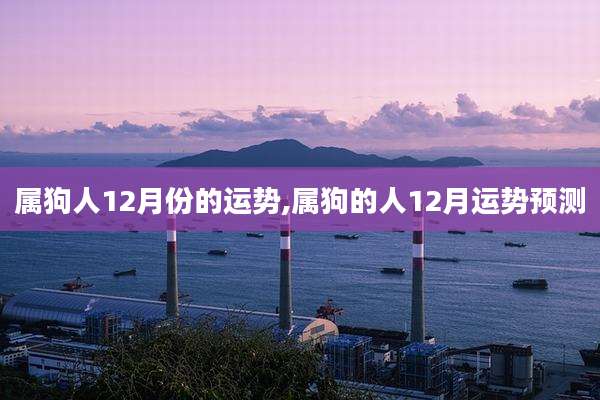 属狗人12月份的运势,属狗的人12月运势预测