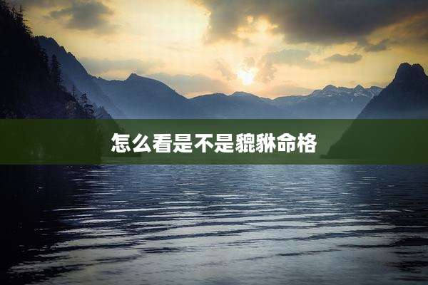 怎么看是不是貔貅命格