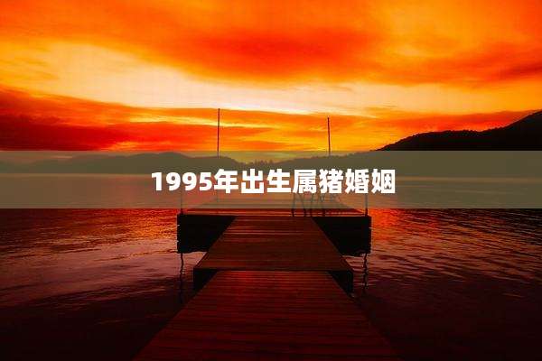 1995年出生属猪婚姻