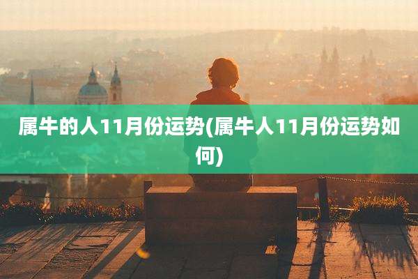 属牛的人11月份运势(属牛人11月份运势如何)