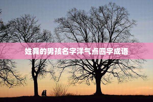 姓龚的男孩名字洋气点四字成语