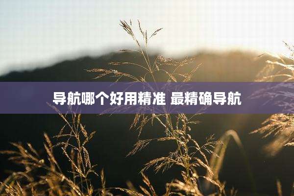 导航哪个好用精准 最精确导航