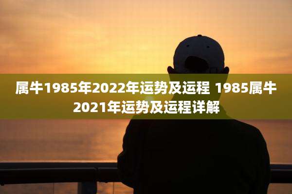 属牛1985年2022年运势及运程 1985属牛2021年运势及运程详解