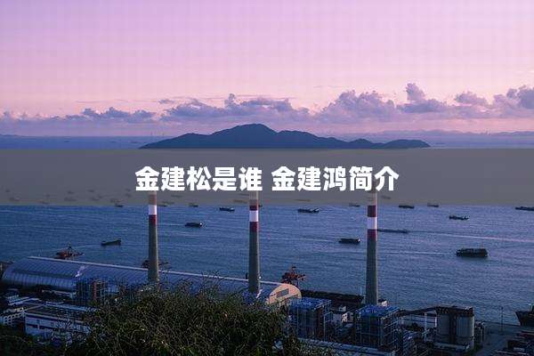 金建松是谁 金建鸿简介