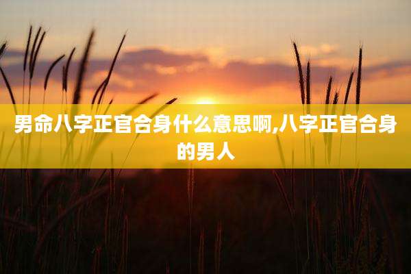 男命八字正官合身什么意思啊,八字正官合身的男人