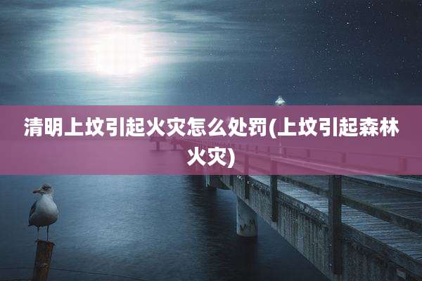 清明上坟引起火灾怎么处罚(上坟引起森林火灾)