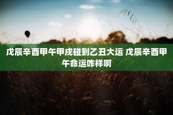 戊辰辛酉甲午甲戌碰到乙丑大运 戊辰辛酉甲午命运咋样啊