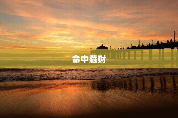 命中藏财