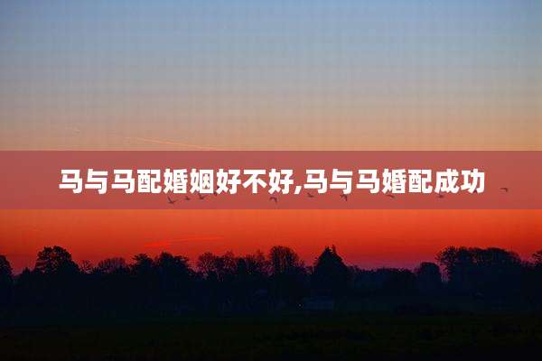 马与马配婚姻好不好,马与马婚配成功