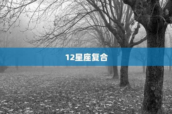 12星座复合
