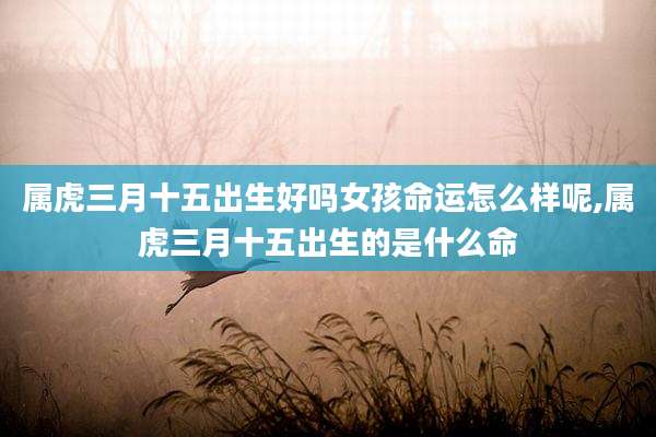 属虎三月十五出生好吗女孩命运怎么样呢,属虎三月十五出生的是什么命