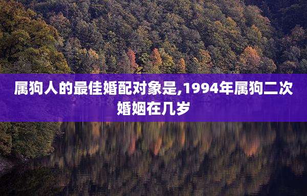 属狗人的最佳婚配对象是,1994年属狗二次婚姻在几岁
