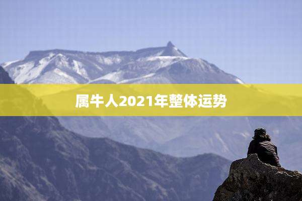 属牛人2021年整体运势