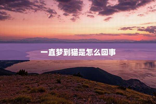 一直梦到猫是怎么回事