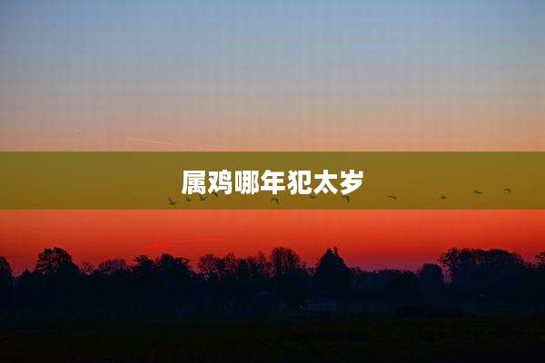 属鸡哪年犯太岁