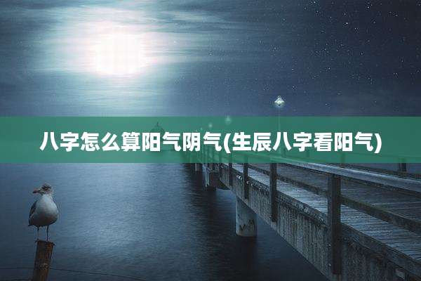 八字怎么算阳气阴气(生辰八字看阳气)