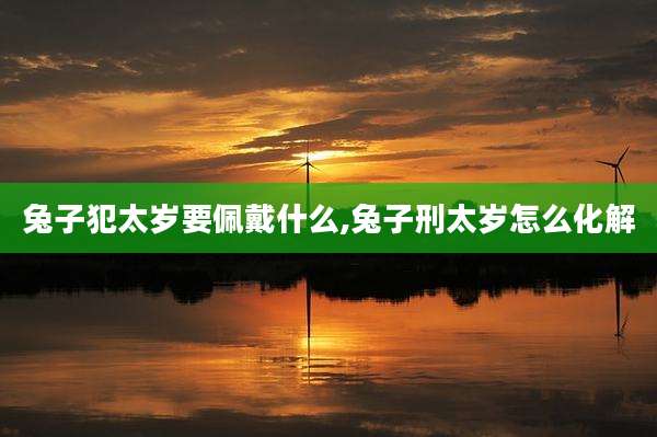 兔子犯太岁要佩戴什么,兔子刑太岁怎么化解