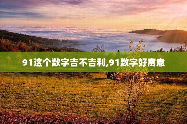 91这个数字吉不吉利,91数字好寓意