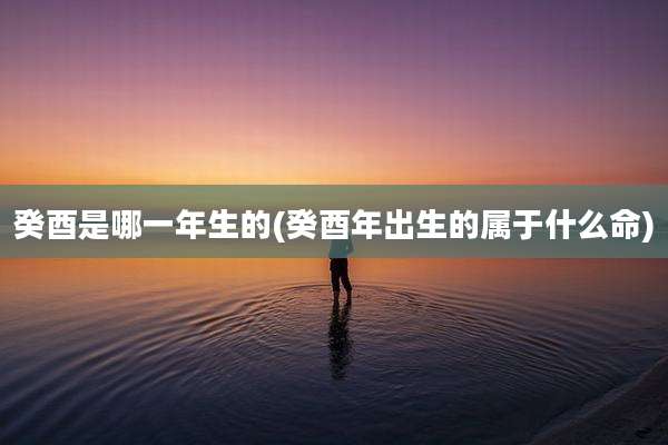 癸酉是哪一年生的(癸酉年出生的属于什么命)