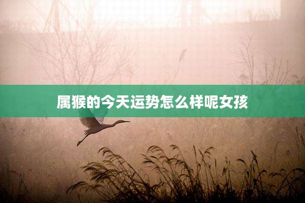 属猴的今天运势怎么样呢女孩
