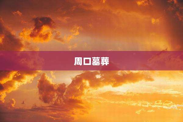 周口墓葬