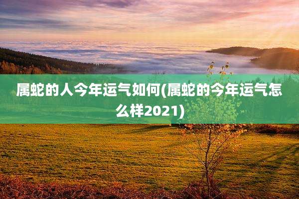 属蛇的人今年运气如何(属蛇的今年运气怎么样2021)