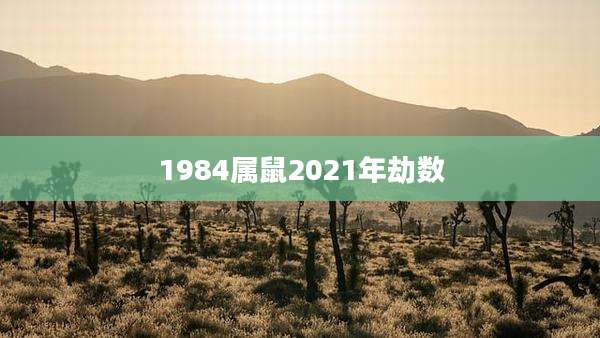 1984属鼠2021年劫数
