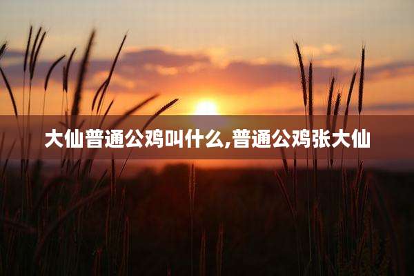 大仙普通公鸡叫什么,普通公鸡张大仙